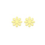daisy-orhangen
