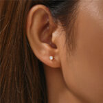 trin_Collection04
